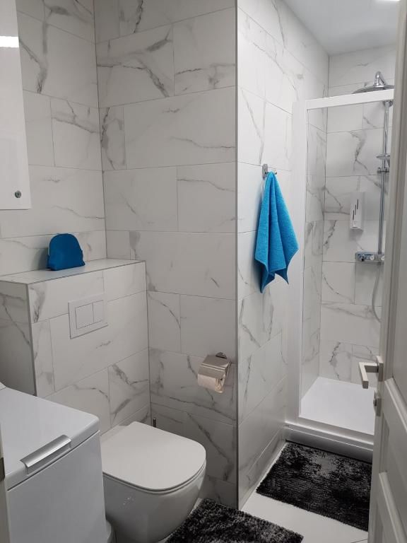 Апартаменты Apartamentai Vyta Plius Клайпеда-54